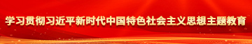 小萝莉插自己阴道视频学习贯彻习近平新时代中国特色社会主义思想主题教育